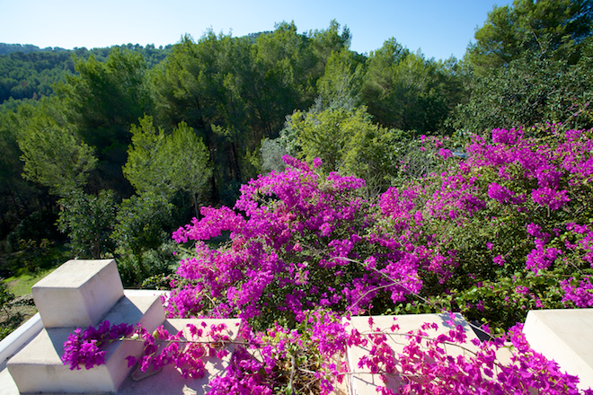 Beautiful country villa for sale close to Santa Gertrudis, Ibiza
