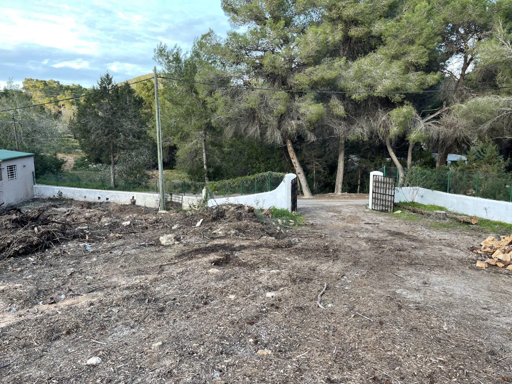 Plot with building license for sale in San Carlos, Ibiza.