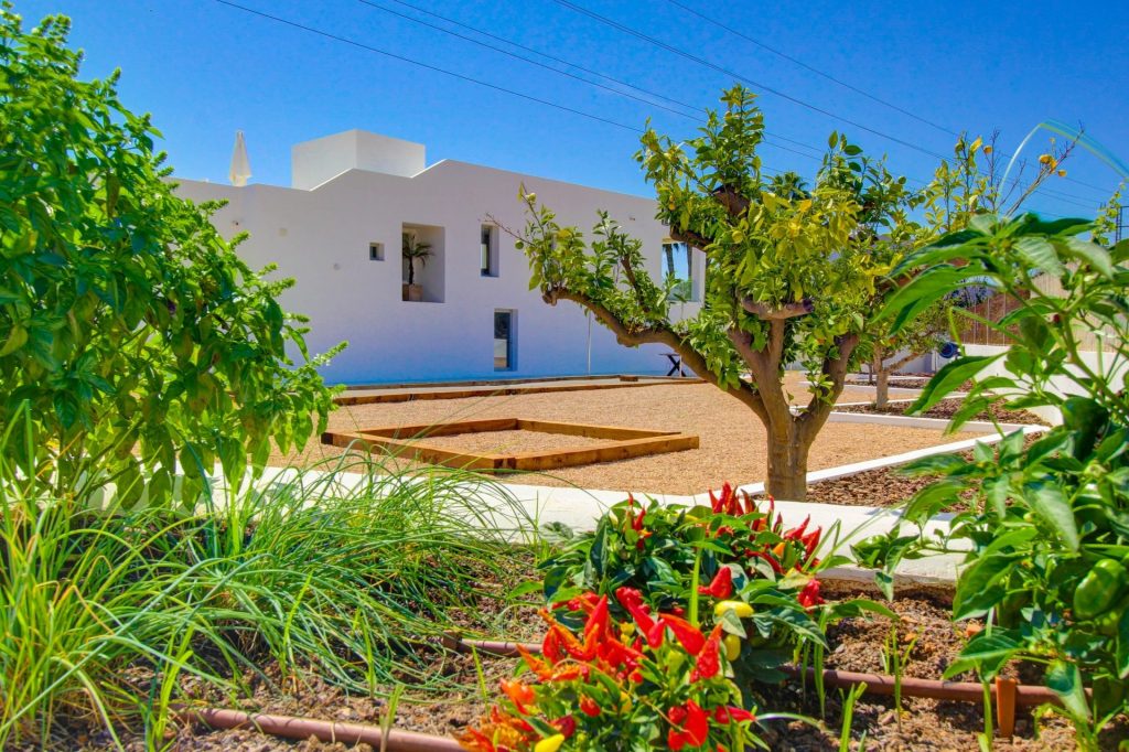 Ibiza Now Real Estate (22)