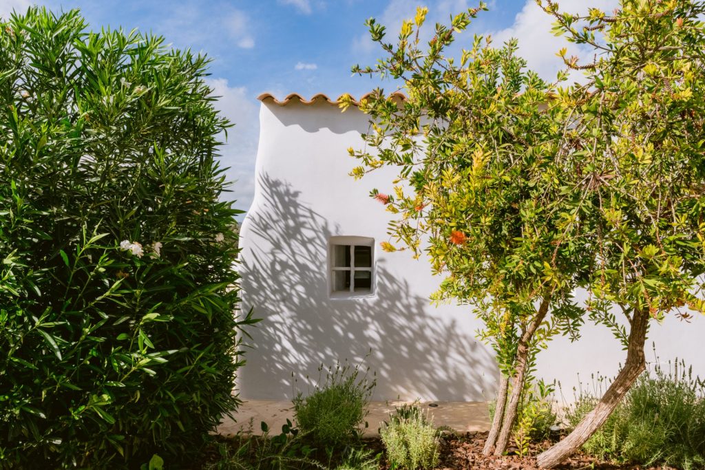 Ibiza Now Real Estate Cas Net (38)