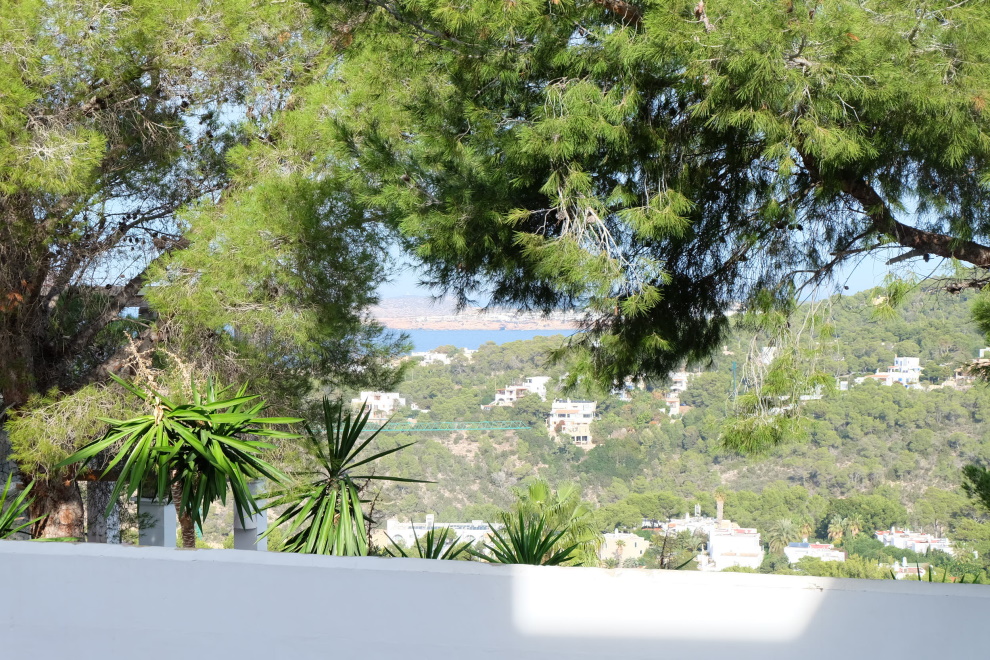 Views Ibiza Now