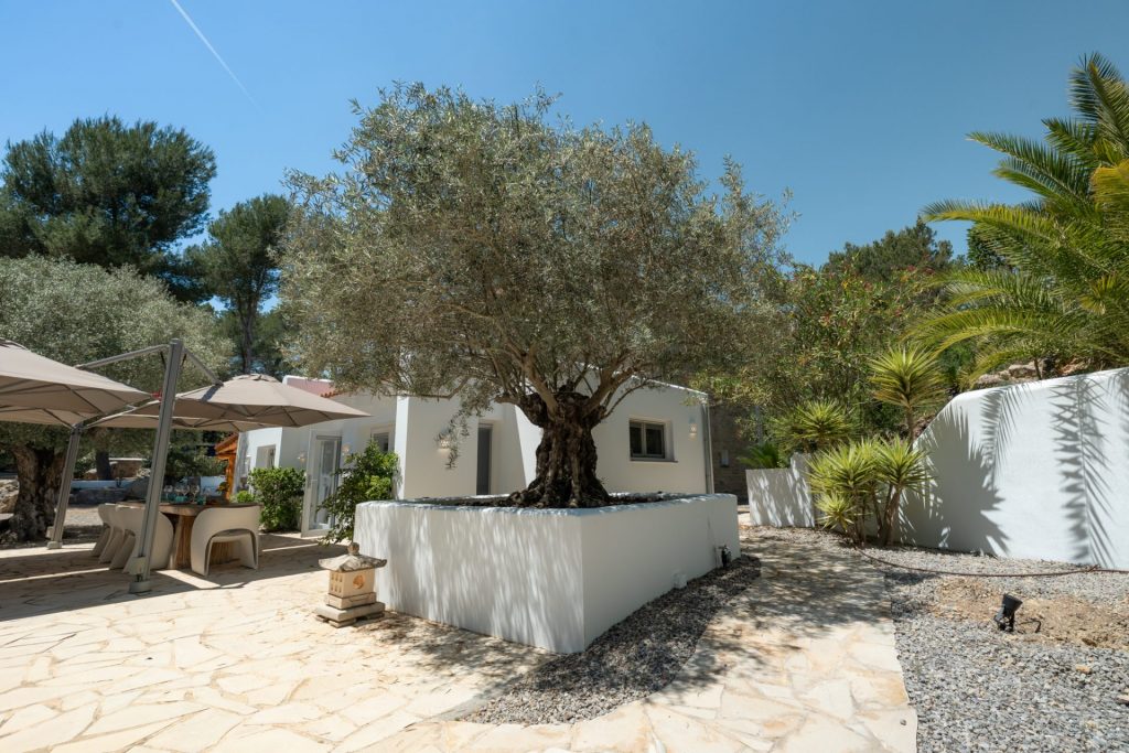 Ibiza Now Real Estate 011