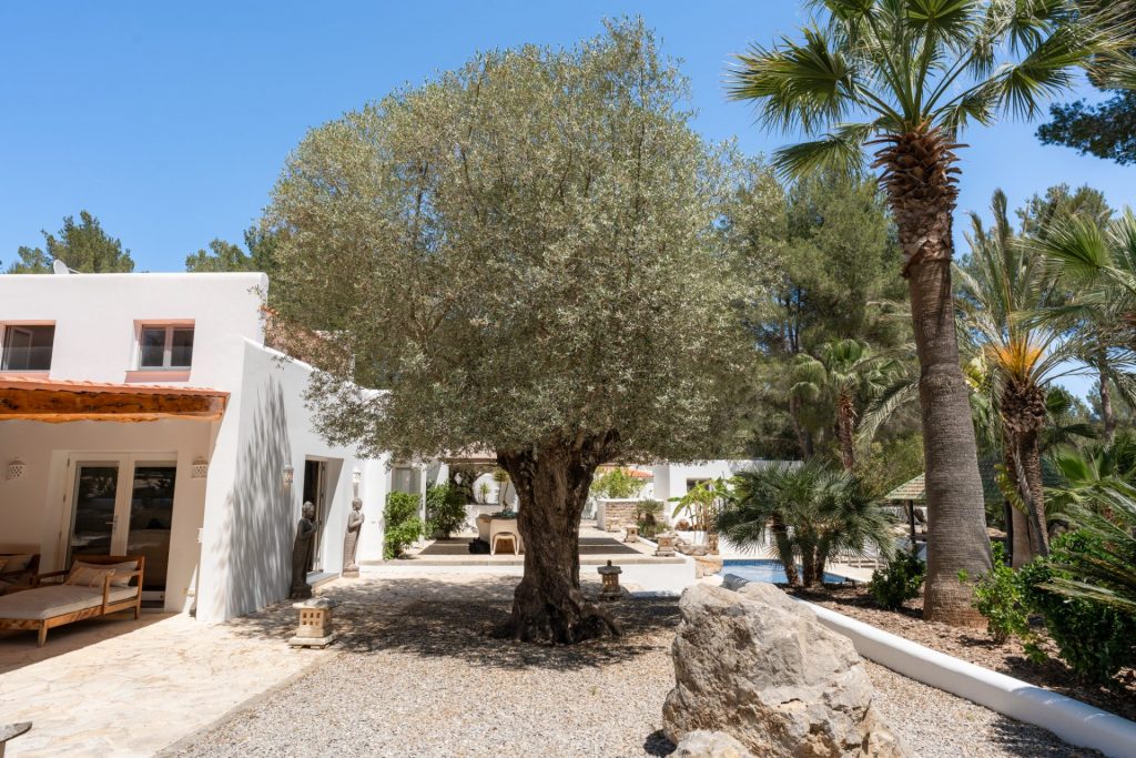 Ibiza Now Real Estate 029