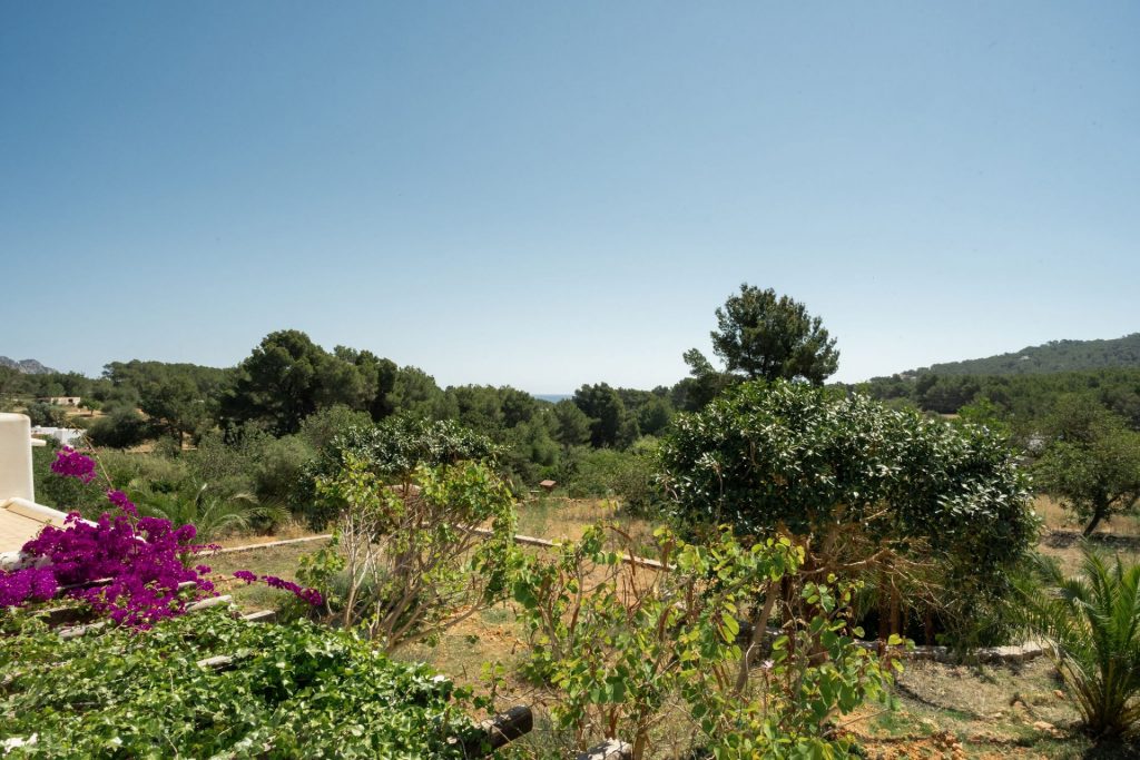 Ibiza Now Es Figueral Sofia Gomez Fonzo 79
