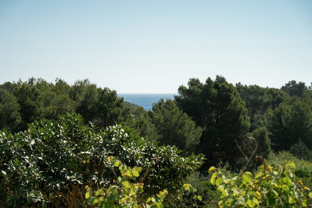 Ibiza Now Es Figueral Sofia Gomez Fonzo 81