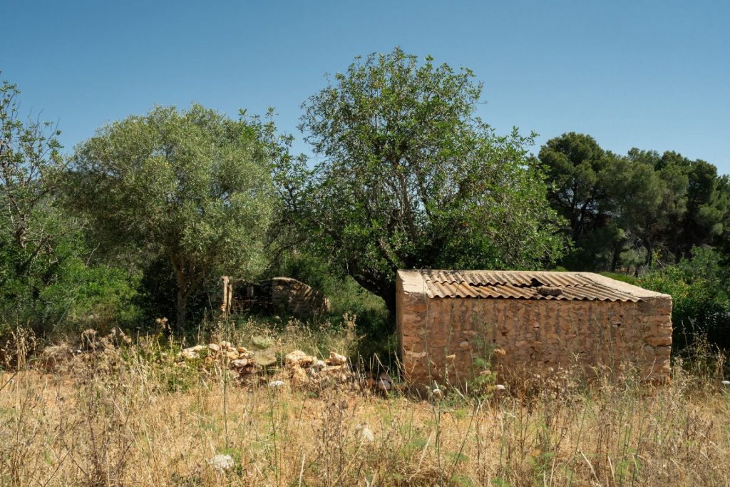 Ibiza Now Es Figueral Sofia Gomez Fonzo 87