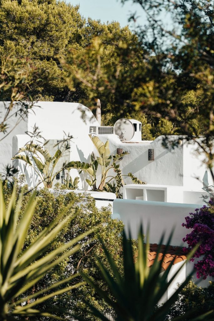 885d4788 8b60 4ef4 Bc6a 4f961d82674d