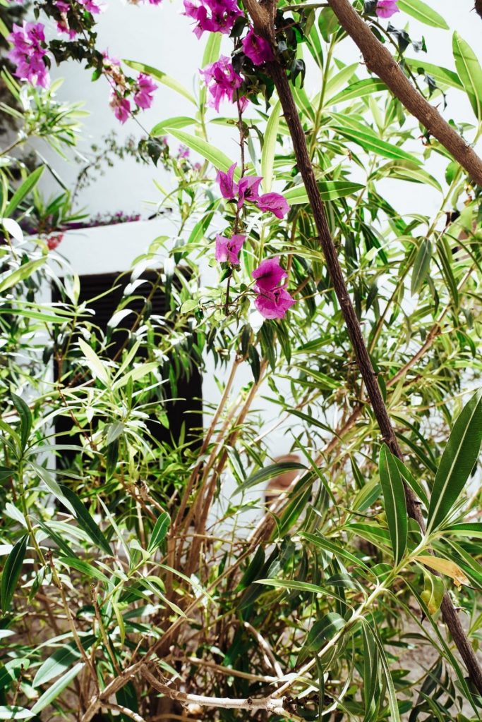 Afd1c3bc 603d 4145 A1d2 33ce2def2315