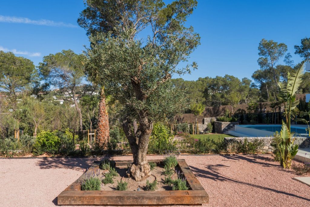 HIGH RES CANAUBARCA 27