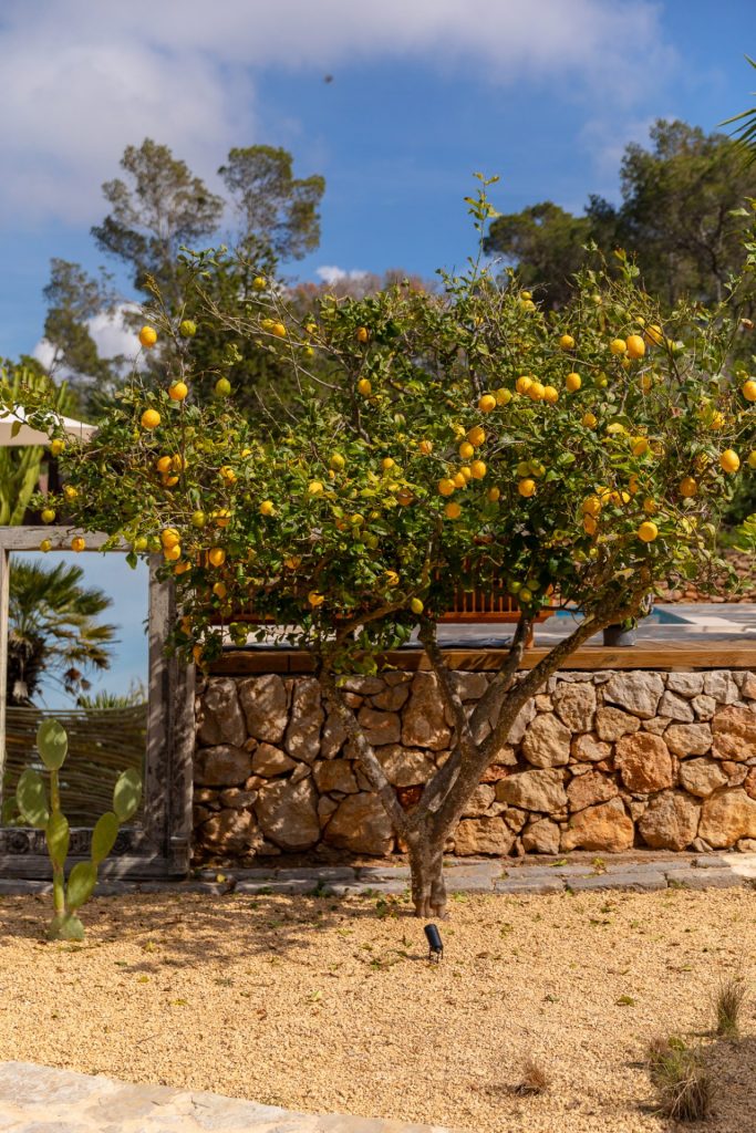 Villa Amor 80